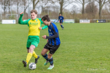 S.K.N.W.K. 1 - Colijnsplaatse Boys 1 (competitie) seizoen 2023-2024 (15/99)